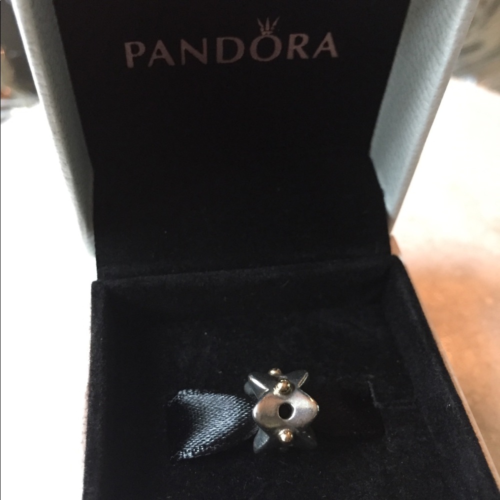 Pandora Eyelet Lace Charm